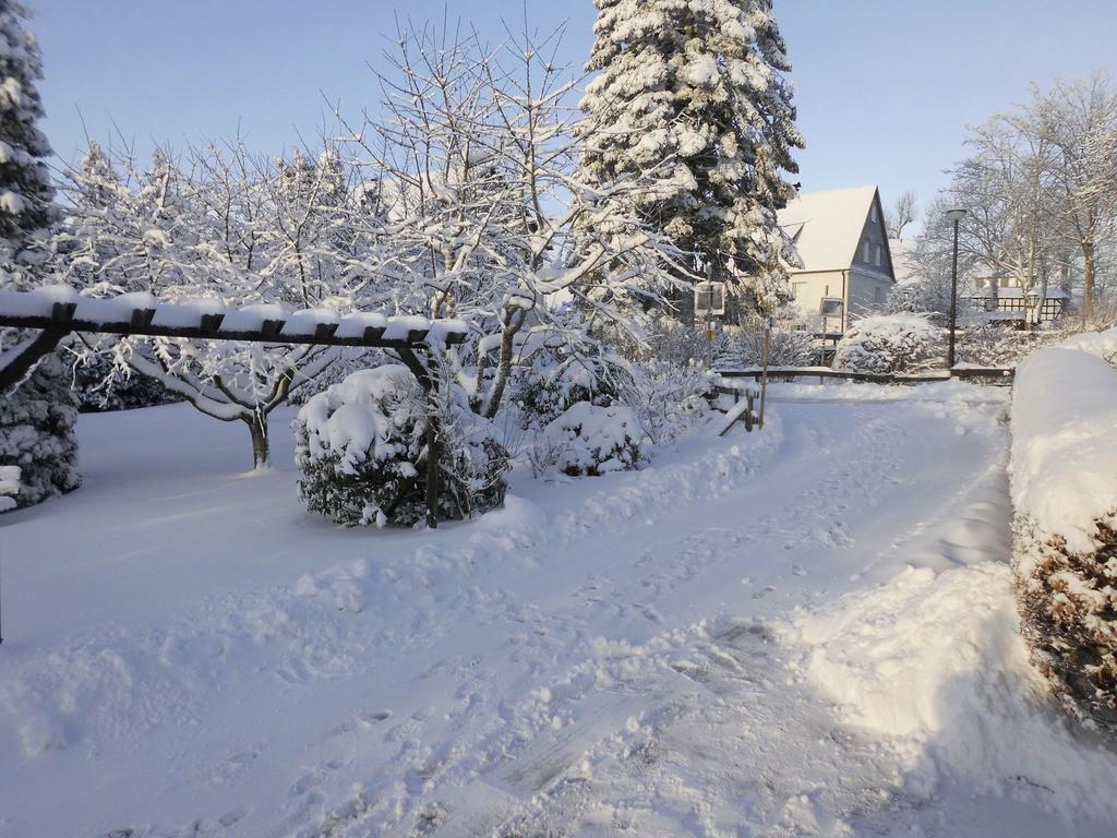 Apartment In Langewiese Sauerland With Garden Winterberg Bagian luar foto