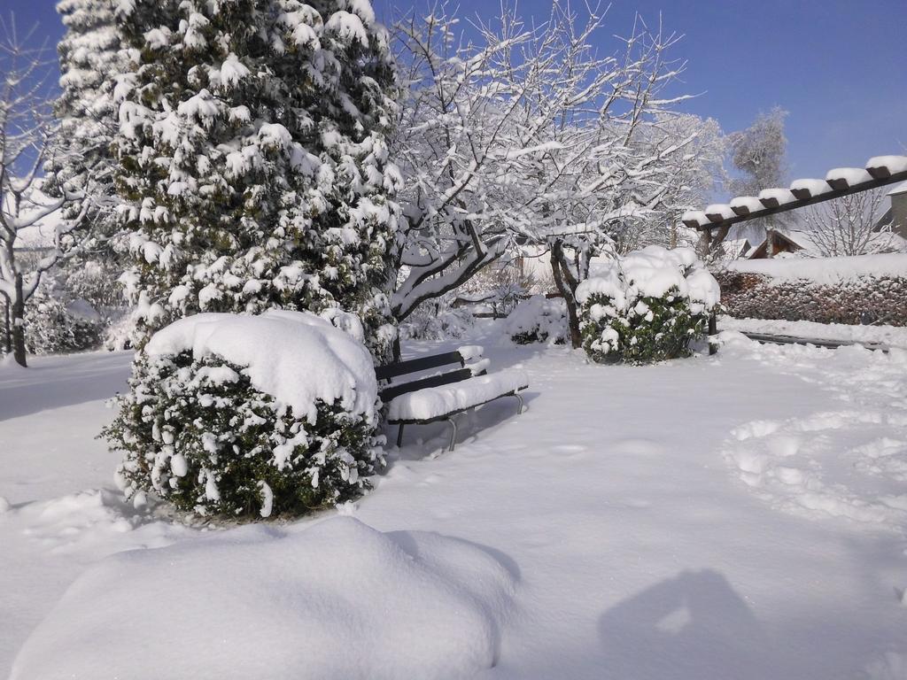 Apartment In Langewiese Sauerland With Garden Winterberg Bagian luar foto