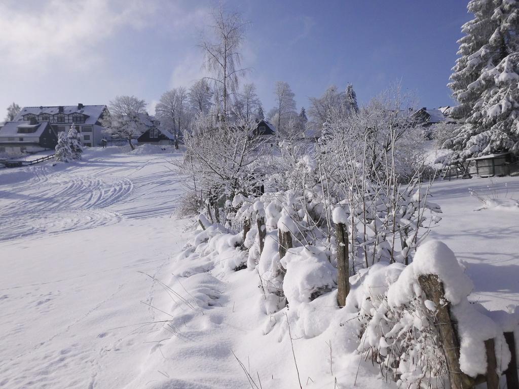 Apartment In Langewiese Sauerland With Garden Winterberg Bagian luar foto