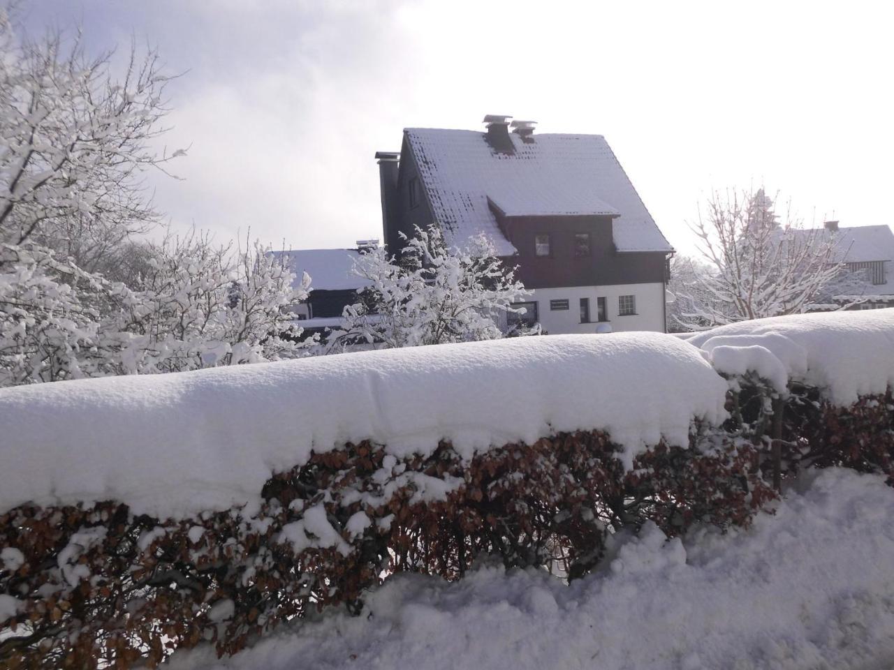 Apartment In Langewiese Sauerland With Garden Winterberg Bagian luar foto